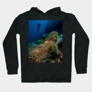 A Diver Looks On At Two Clownfish in Indonesia Hoodie